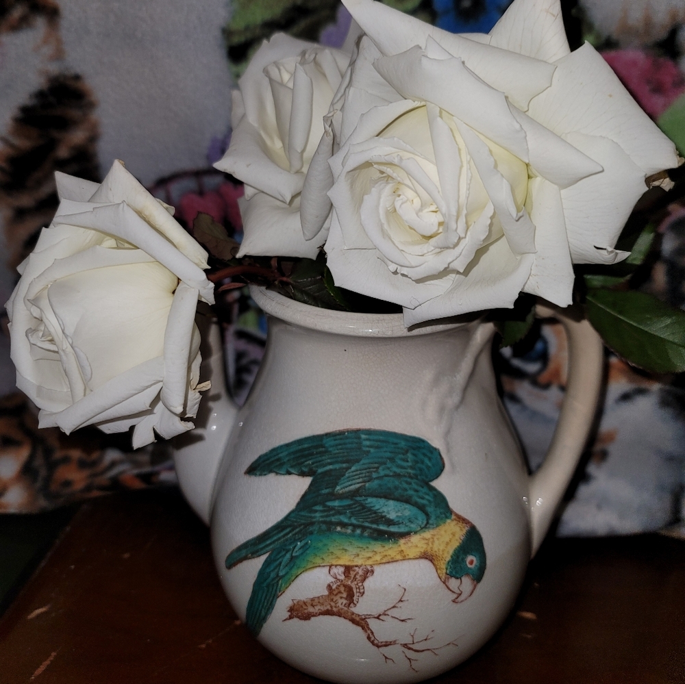 Royal ironstone china vase green parrot & blue jay antique w handle painted b31